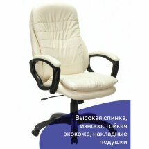 Кресло офисное BRABIX PREMIUM &quot;Omega EX-589&quot;, экокожа, бежевое, 532095