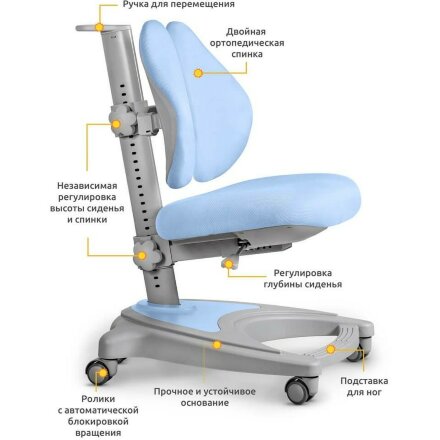 Детский стул-трансформер ErgoKids Y-417 голубой Голубой