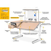 Детский стол Mealux Woodville Multicolor Energy   BD P-17 MG  арт.BD-850 MG/MC Energy BD P-17 MG  -  столешница клен / накладки на ножках серые  коробок-3 шт.