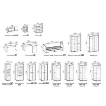 Шкаф-купе 1200 Ральф Софт