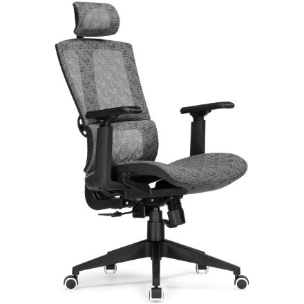 Компьютерное кресло Lanus gray / black 