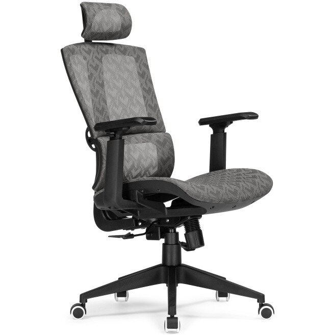 Компьютерное кресло Lanus gray / black Компьютерное кресло Lanus gray / black