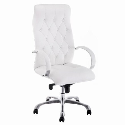 Компьютерное кресло Osiris white / satin chrome 