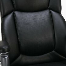 Кресло офисное BRABIX PREMIUM &quot;Favorite EX-577&quot;, пружинный блок, рециклированная кожа, черное, 531934