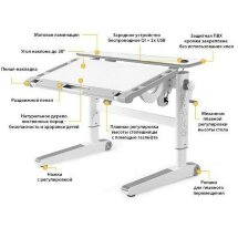 Детская парта Mealux Ergowood - L Multicolor WG Energy