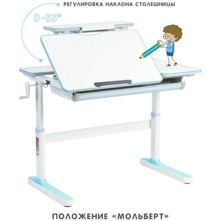 Парта растущая с полкой RIFFORMA-100А голубая Голубой