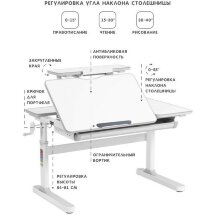 Парта растущая с полкой RIFFORMA-100А серая