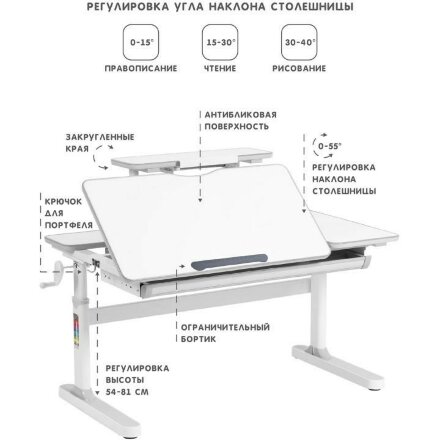 Парта растущая RIFFORMA-120A серая Голубой